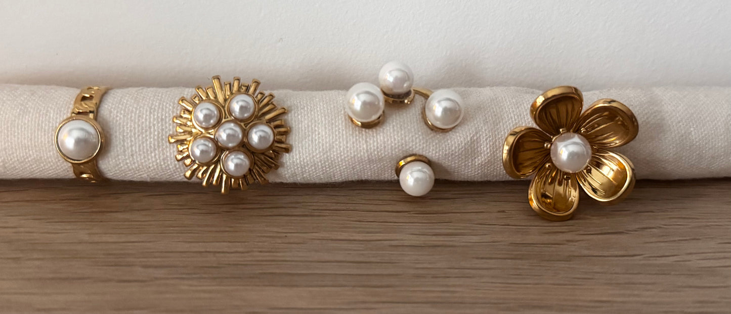 Bagues en acier inoxydable