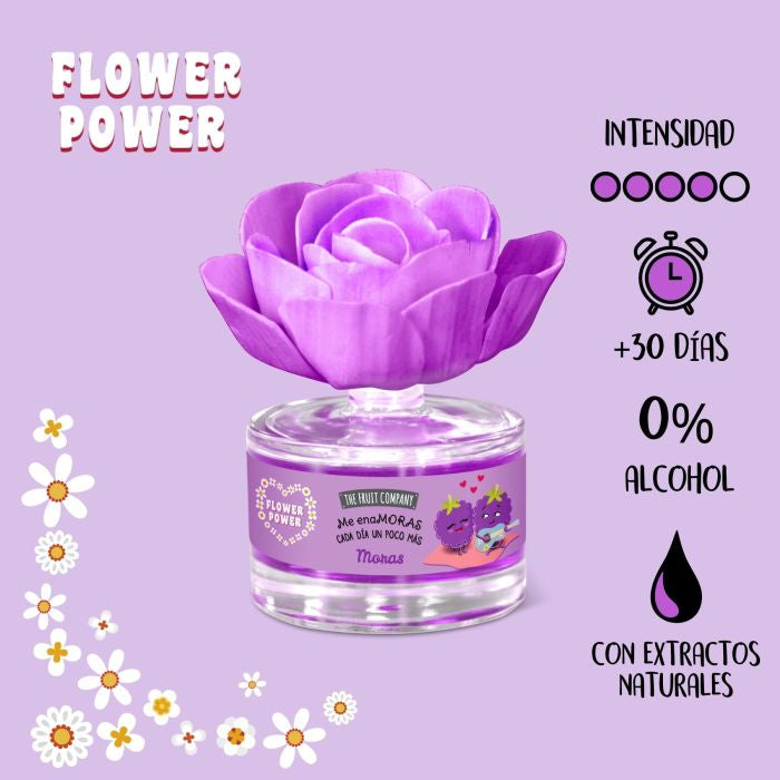 Mikado fleurs mûre