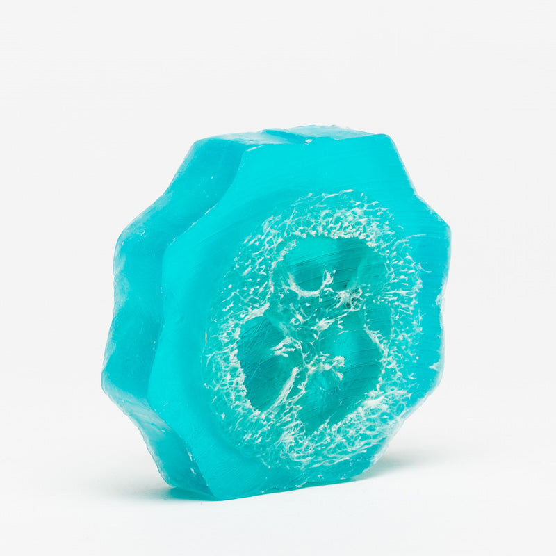 Algue fraicheur Marine